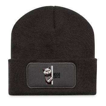 Nein war ich nicht BKH Blue Katze Geschenk - Recycelte Patch Beanie - Dunkelgrau - Vorne
