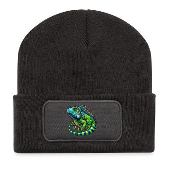 Iguana - Recycled Patch Beanie - dark grey - Front