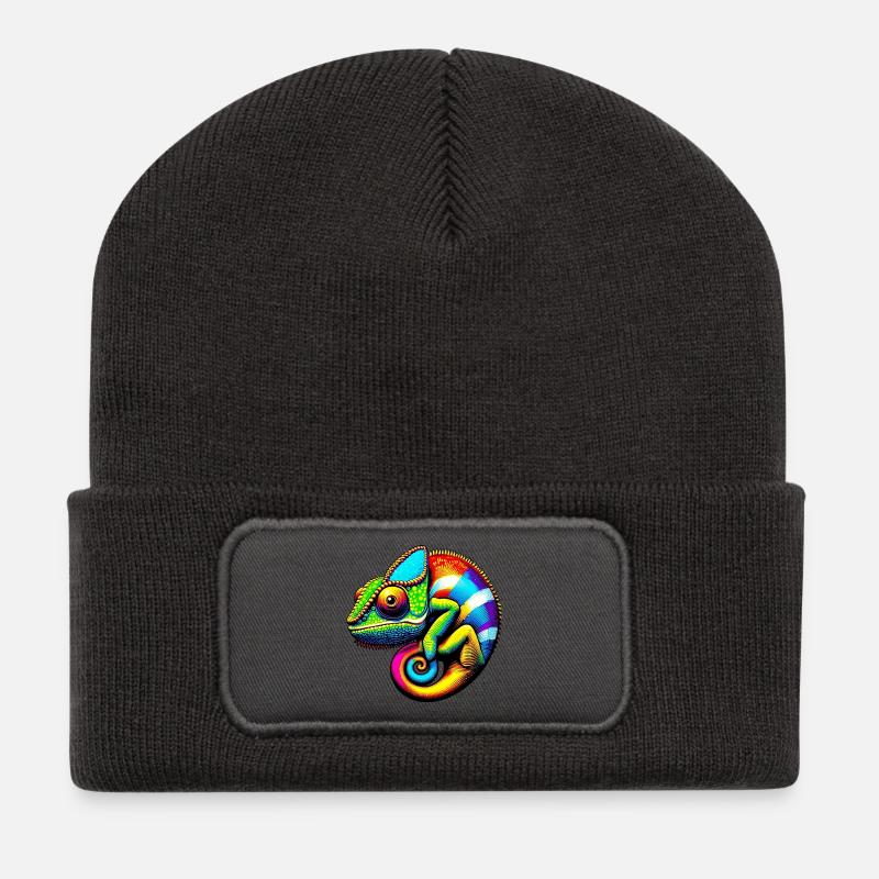 Chamäleon - Recycelte Patch Beanie - Dunkelgrau