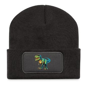 Dinosaur - Recycled Patch Beanie - dark grey - Front