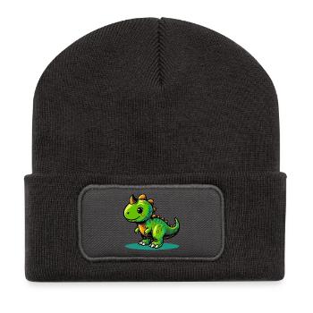 Dinosaur - Recycled Patch Beanie - dark grey - Front