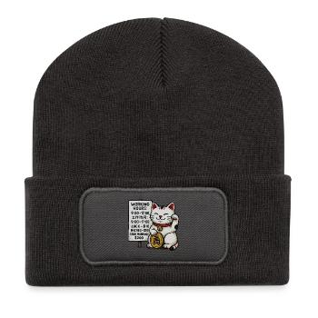 Lucky Cat Fortune Schild - Recycelte Patch Beanie - Dunkelgrau - Vorne