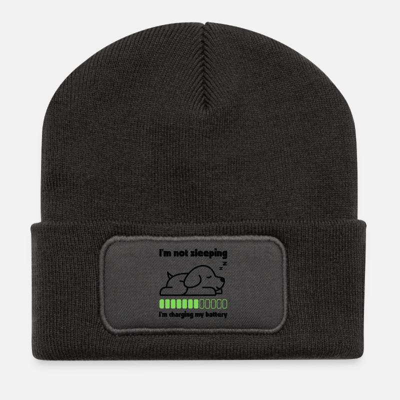 Schlafender Hund lädt seinen Akku - Recycelte Patch Beanie - Dunkelgrau