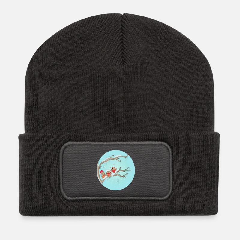 Christmas Birds - Recycled Patch Beanie - dark grey