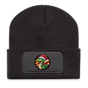 Dino Santa im Weihnachtskreis - Recycelte Patch Beanie - Dunkelgrau - Vorne