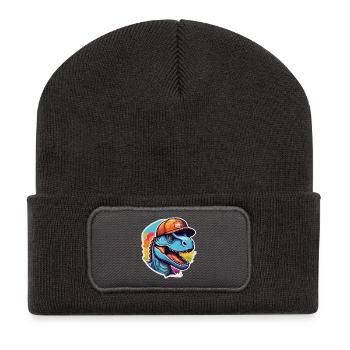 Dinosaurier-Regenbogenkappe - Recycelte Patch Beanie - Dunkelgrau - Vorne