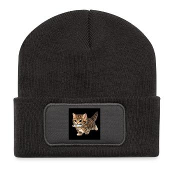 Kätzchen hat einen Fisch gefangen - Recycelte Patch Beanie - Dunkelgrau - Vorne
