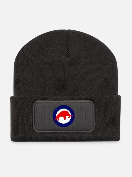Red Anteater - Recycelte Patch Beanie - Dunkelgrau