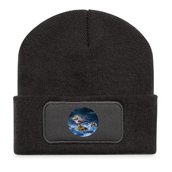 Moewe_mit_Fisch - Beanie recyclé à patch - charbon - Devant