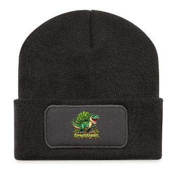 Spinatosaurus - Recycelte Patch Beanie - Dunkelgrau - Vorne