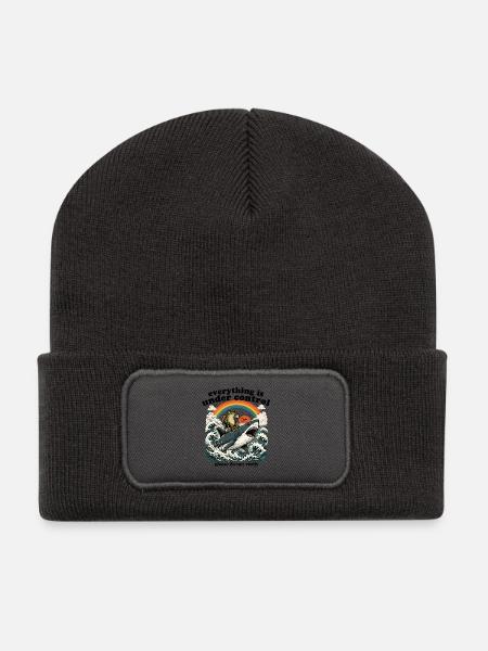 Frog on shark rainbow - Recycled Patch Beanie - dark grey
