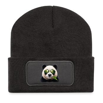 Cool Panda - Recycelte Patch Beanie - Dunkelgrau - Vorne