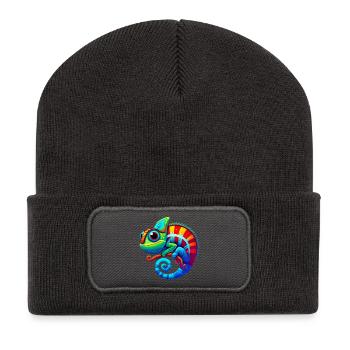 Chameleon - Recycled Patch Beanie - dark grey - Front