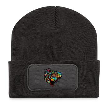 Iguana - Recycled Patch Beanie - dark grey - Front