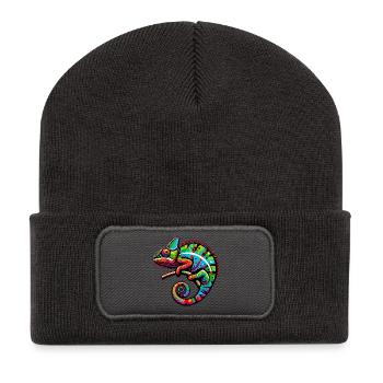 Chameleon - Recycled Patch Beanie - dark grey - Front