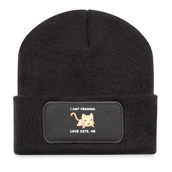 Chat - Chats T-Shirt - Chats - J'aime les chats - Beanie recyclé à patch - charbon - Devant