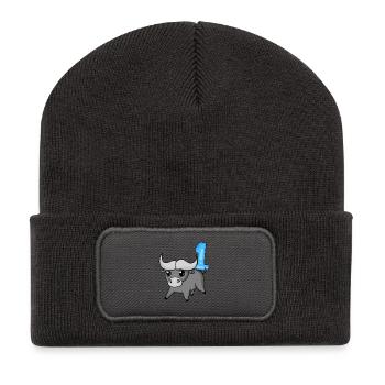 1 year old - 1st birthday with animal motif - Recycled Patch Beanie - dark grey - Front