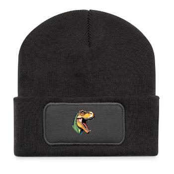 Colorful dino head motif - Recycled Patch Beanie - dark grey - Front