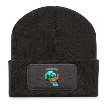 Kapital ist Ein scheues Reh - Recycelte Patch Beanie - Dunkelgrau - Vorne