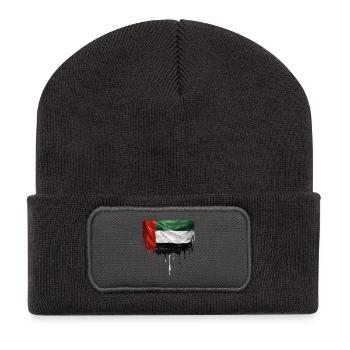 Flag of the United Arab Emirates in colorful - Recycled Patch Beanie - dark grey - Front