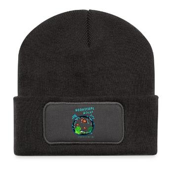 AQUASCAPE Addict - Recycelte Patch Beanie - Dunkelgrau - Vorne
