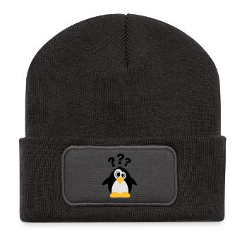 pinguin_i_dont_know_f3 - Recycled Patch Beanie - dark grey - Front