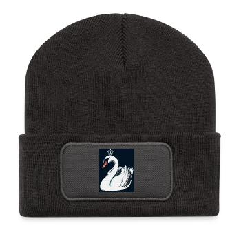 Swan - Recycled Patch Beanie - dark grey - Front