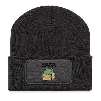 Emotionaler Unterstützungsfrosch - Recycelte Patch Beanie - Dunkelgrau - Vorne