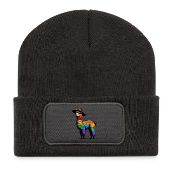 Alpaca - Recycled Patch Beanie - dark grey - Front