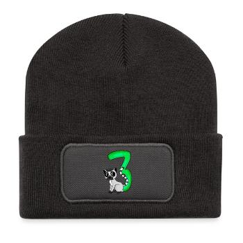 3 anniversaire 3 ans avec motif animal - trois - Beanie recyclé à patch - charbon - Devant