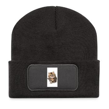 Super Süße Babykatze Katze echt niedlich - Recycelte Patch Beanie - Dunkelgrau - Vorne