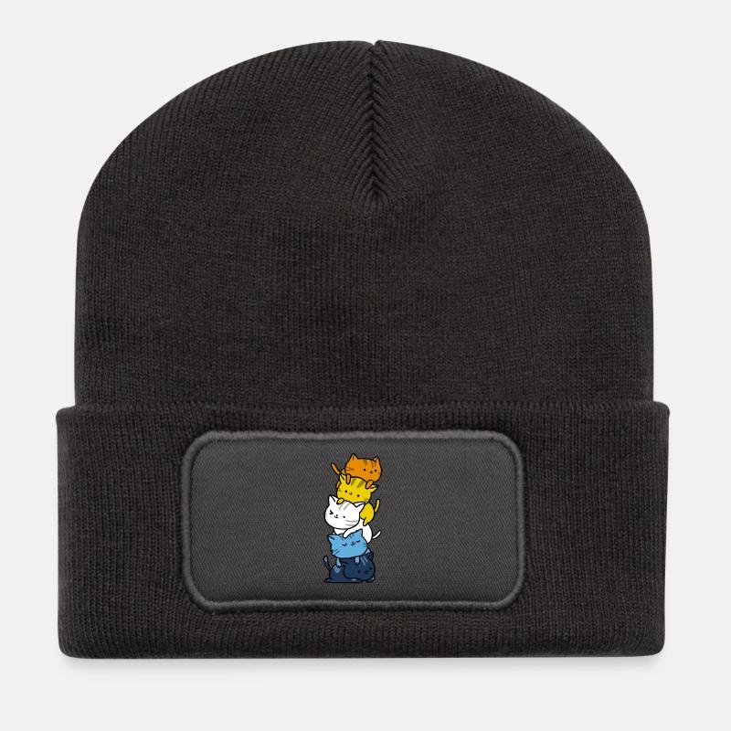 Kawaii Katzen- Aroace Pride Flagge - Recycelte Patch Beanie - Dunkelgrau