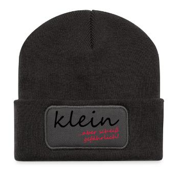 Klein aber scheiß gefährlich! - Recycelte Patch Beanie - Dunkelgrau - Vorne