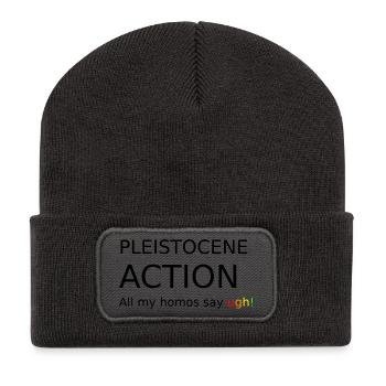 pleistocene_action - Recycled Patch Beanie - dark grey - Front