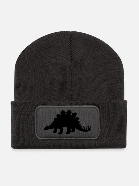 Stegosaurus Dinosaur - Recycled Patch Beanie - dark grey