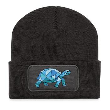 Walking Poly Schildkröte - Recycelte Patch Beanie - Dunkelgrau - Vorne