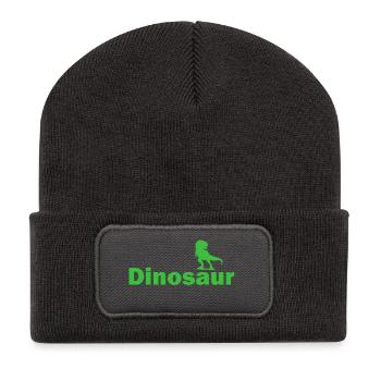 Dino Dinosaur Dinosaur - Recycled Patch Beanie - dark grey - Front