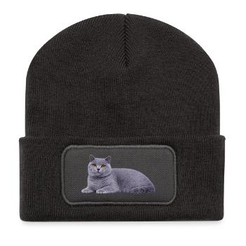 Chat britannique à poil court réaliste - Beanie recyclé à patch - charbon - Devant