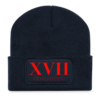 Idée de cadeau pour le 17e anniversaire - Beanie recyclé à patch - bleu marine - Devant