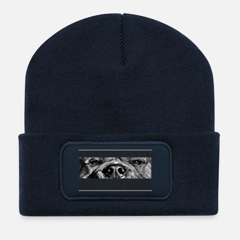 cb_blick_2 - Recycelte Patch Beanie - French Navy