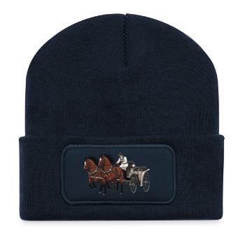 Horse-drawn carriage - Recycled Patch Beanie - french navy - Front