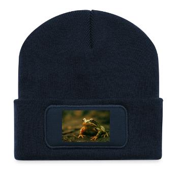 Wild animals, frog - Recycled Patch Beanie - french navy - Front