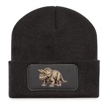 Vintage Triceratops Illustration - Beanie recyclé à patch - charbon - Devant