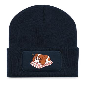 Schlafhund auf kariertem Kissen - Recycelte Patch Beanie - French Navy - Vorne