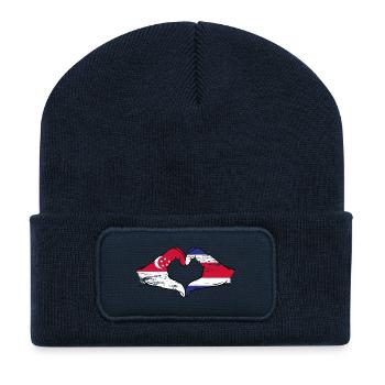 Singapore Costa Rica Flag Hands Heart Shape Used - Recycled Patch Beanie - french navy - Front