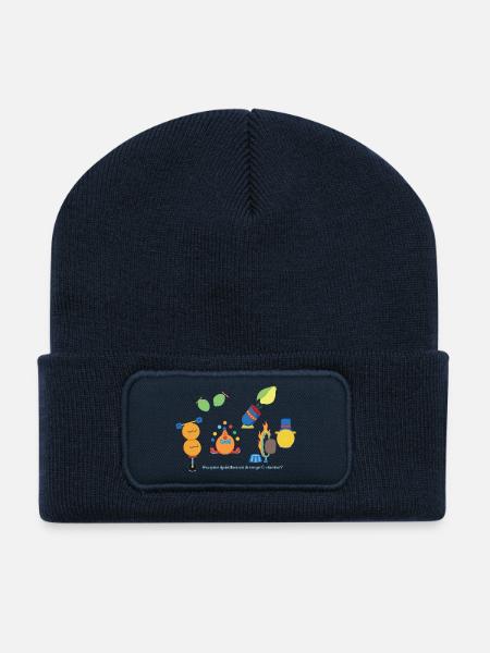 Zirkusfrüchte - Recycelte Patch Beanie - French Navy
