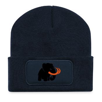verärgertes Mammut Markenlogo 2c - Recycelte Patch Beanie - French Navy - Vorne