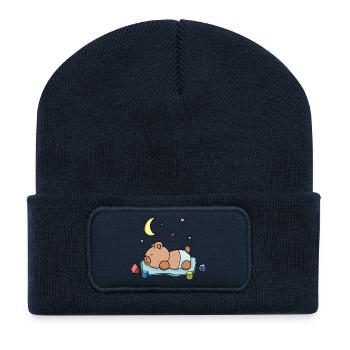 Teddy Bear Boy Boy Sleeping Blue Cute Drawing - Recycled Patch Beanie - french navy - Front