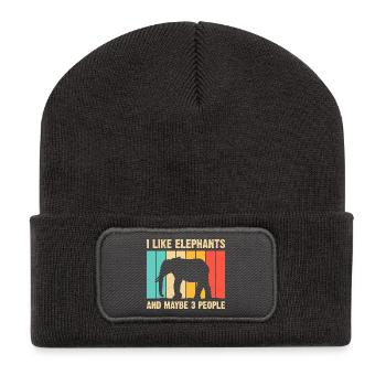 Elephant Silhouette on Rainbow Stripes - Recycled Patch Beanie - dark grey - Front