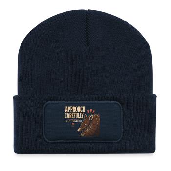 Armadillo Drôle Armadillo Texas - Beanie recyclé à patch - bleu marine - Devant